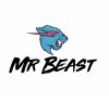 Mr Beast
